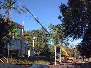 APICULTOR RIBEIRÃO PRETO ENXAME BEIRAL DA LAGE 1